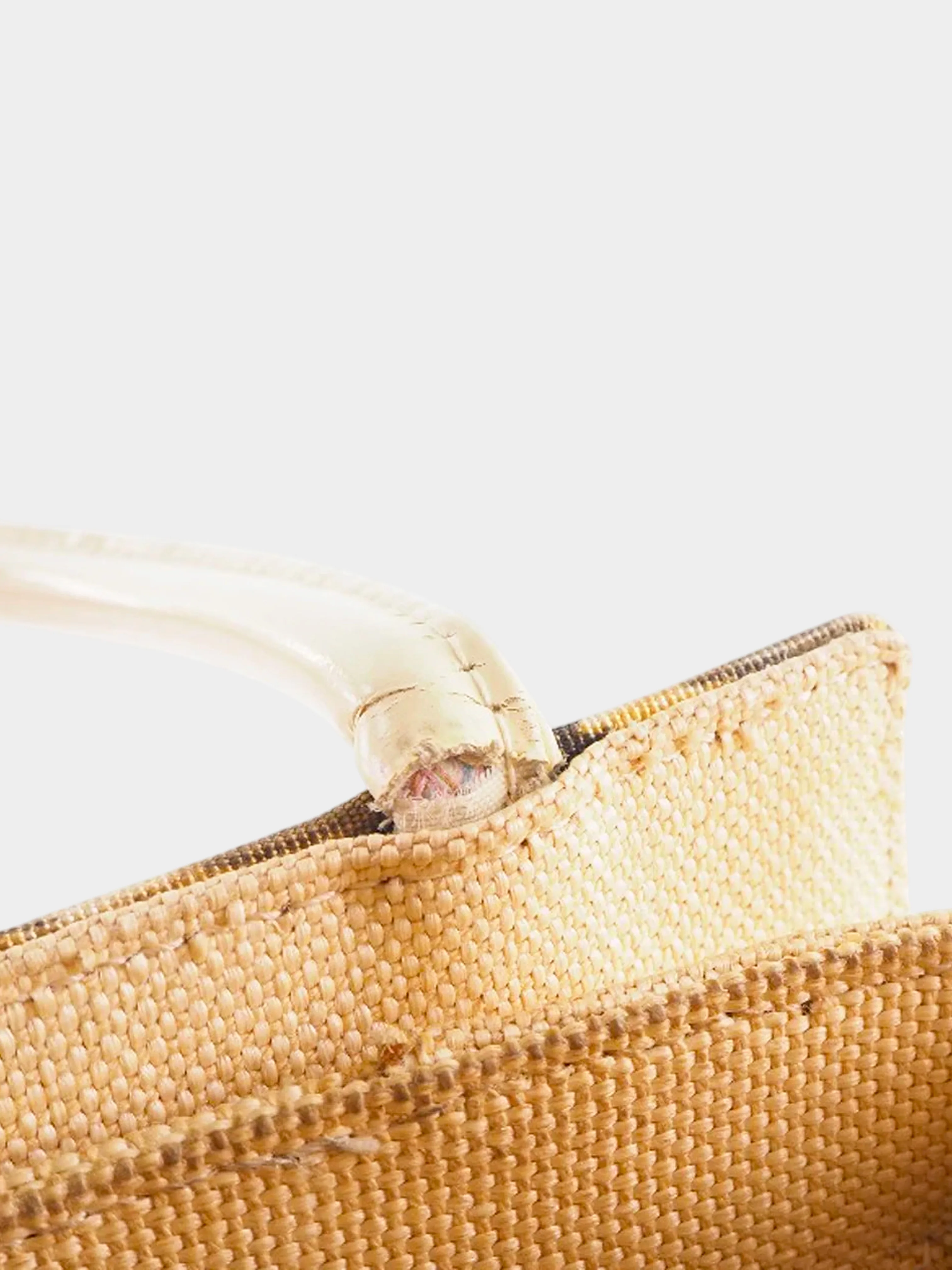 Christian Dior 1999 Cheetah Print Canvas Lady Dior Tote Bag - Image 3