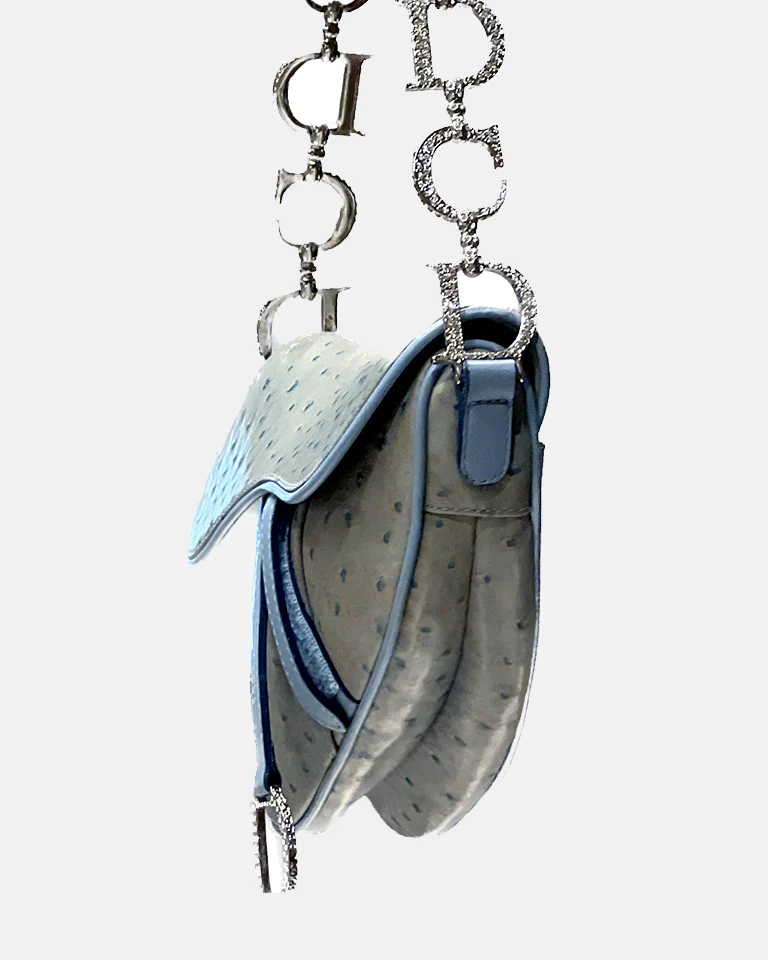 Christian Dior 2000s Ostrich Leather Iced Rare Small Saddle Bag - Image 2