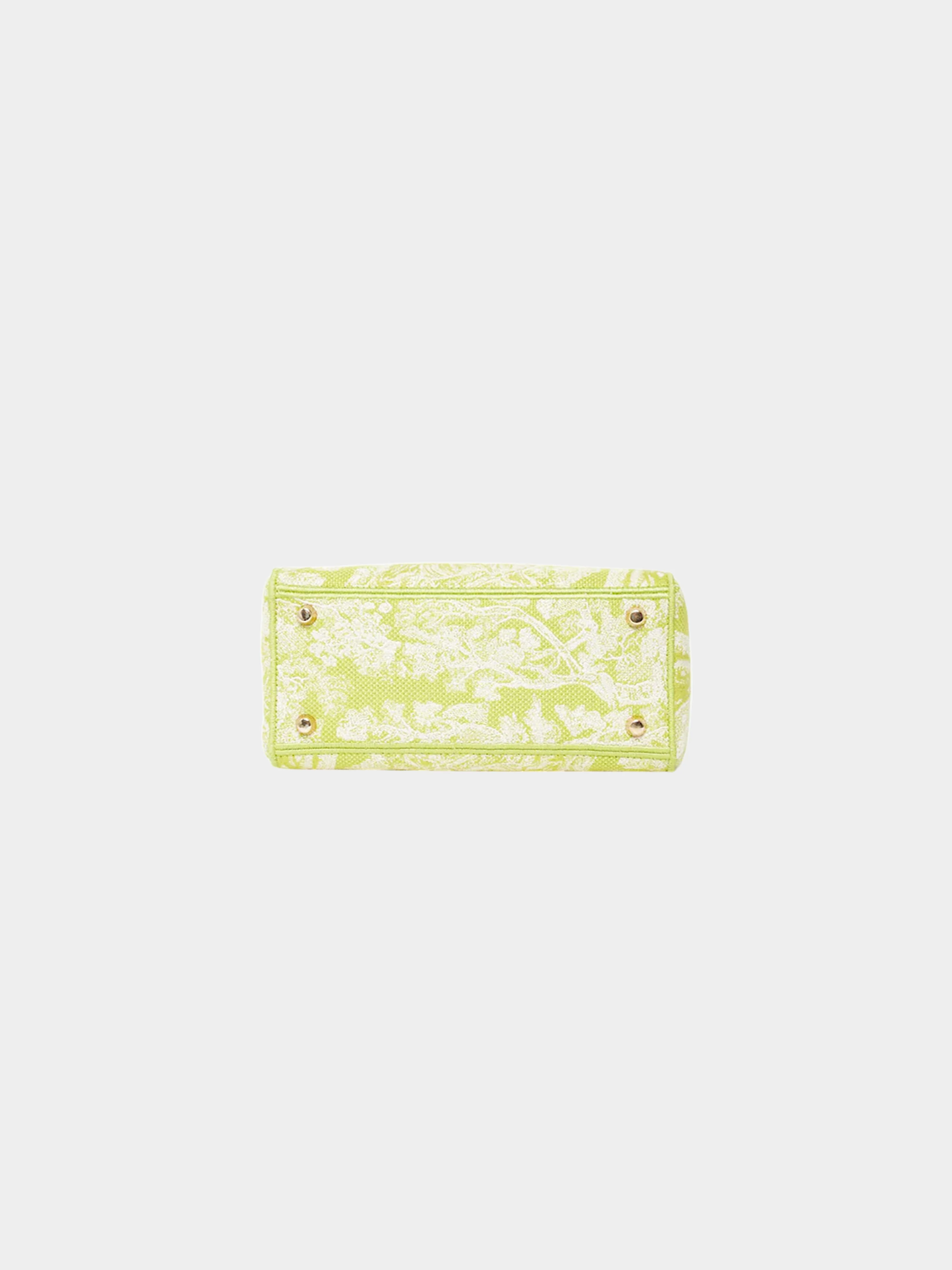 Christian Dior 2020 Lime Green Toile De Jouy Canvas Medium Lady D-Lite Bag - Image 4