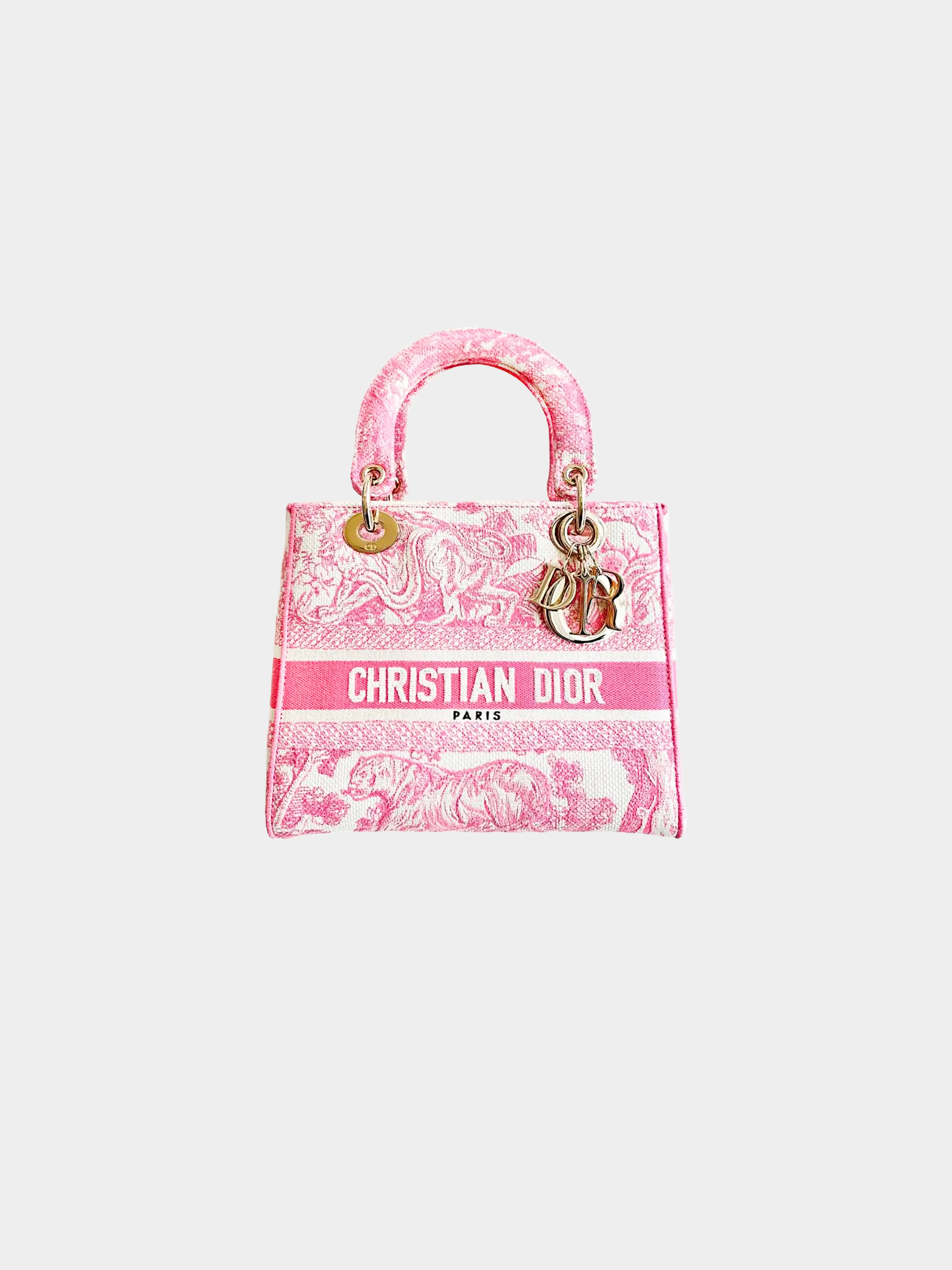 Christian Dior 2020 Pink Green Toile De Jouy Canvas Medium Lady D-Lite Bag