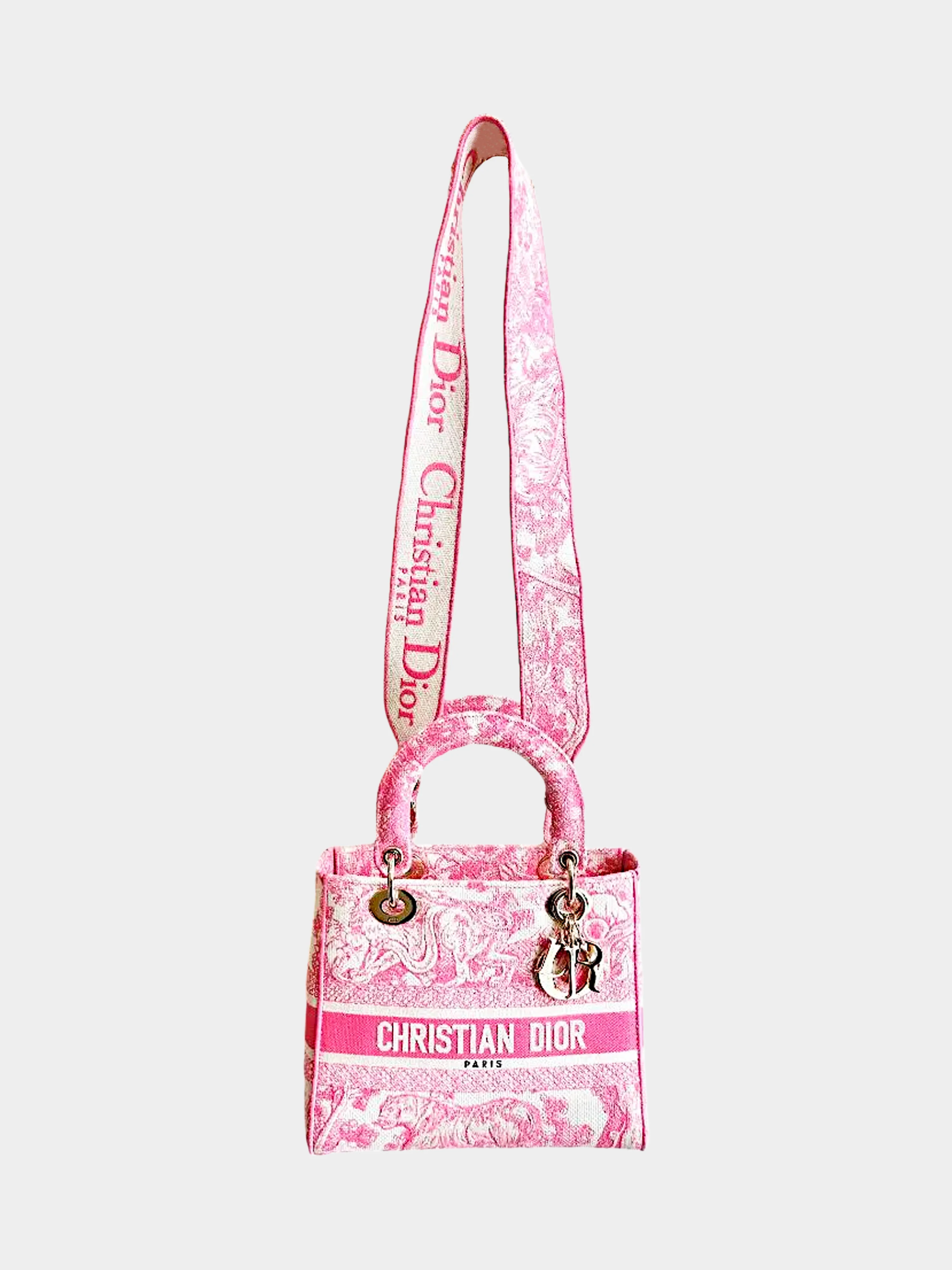 Christian Dior 2020 Pink Green Toile De Jouy Canvas Medium Lady D-Lite Bag - Image 4