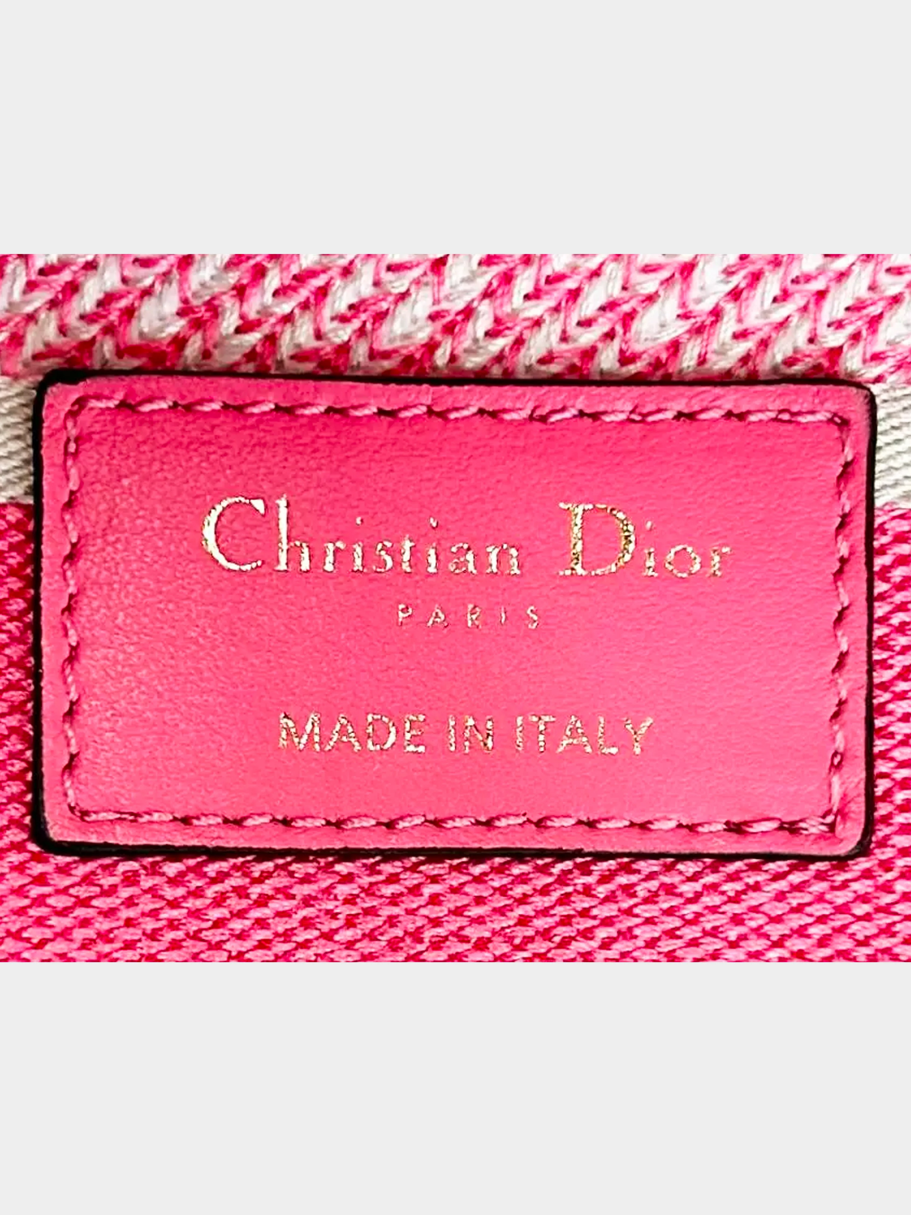 Christian Dior 2020 Pink Green Toile De Jouy Canvas Medium Lady D-Lite Bag - Image 5