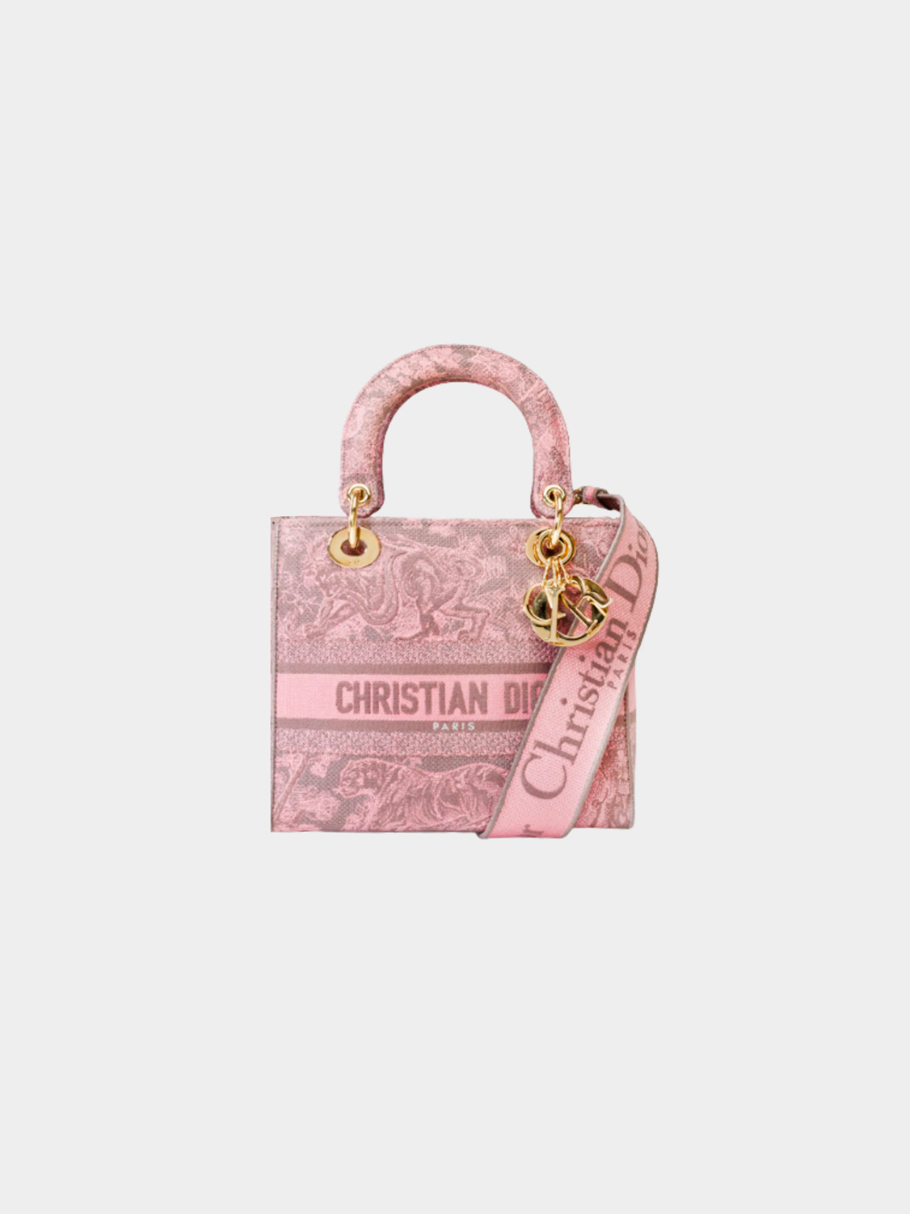 Christian Dior Cruise 2022 Lady D-lite Pink Toile de Jouy Reverse Motif Bag
