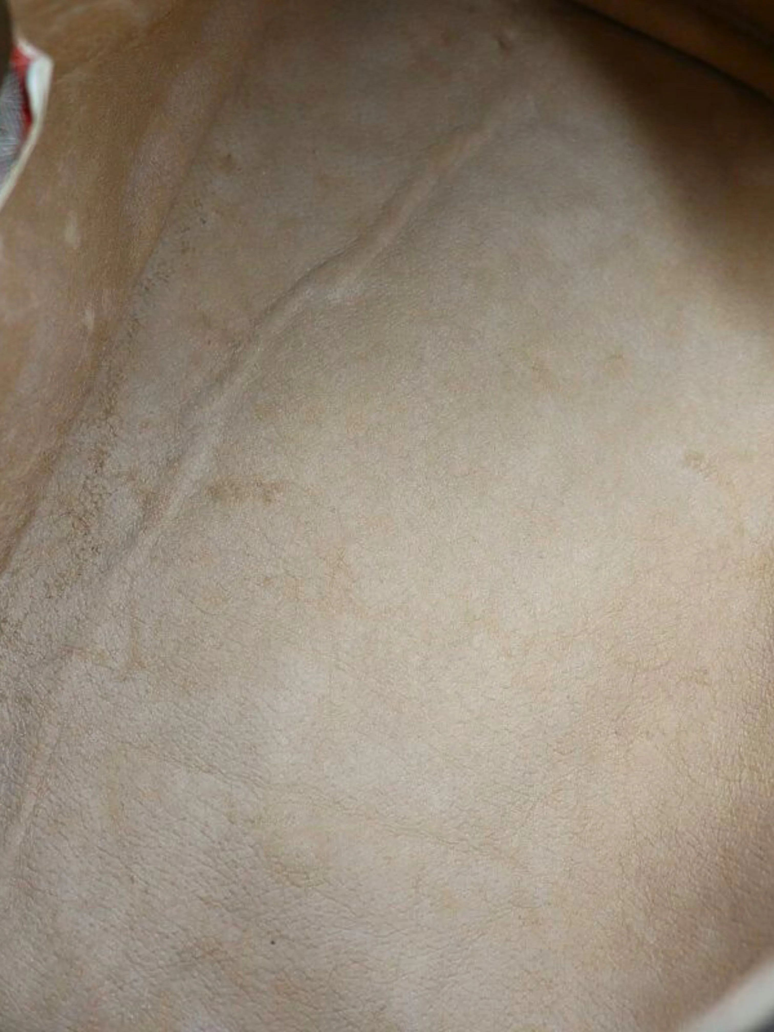 Gucci 1990s Beige and Brown Sherry Line GG Boston Bag - Image 9