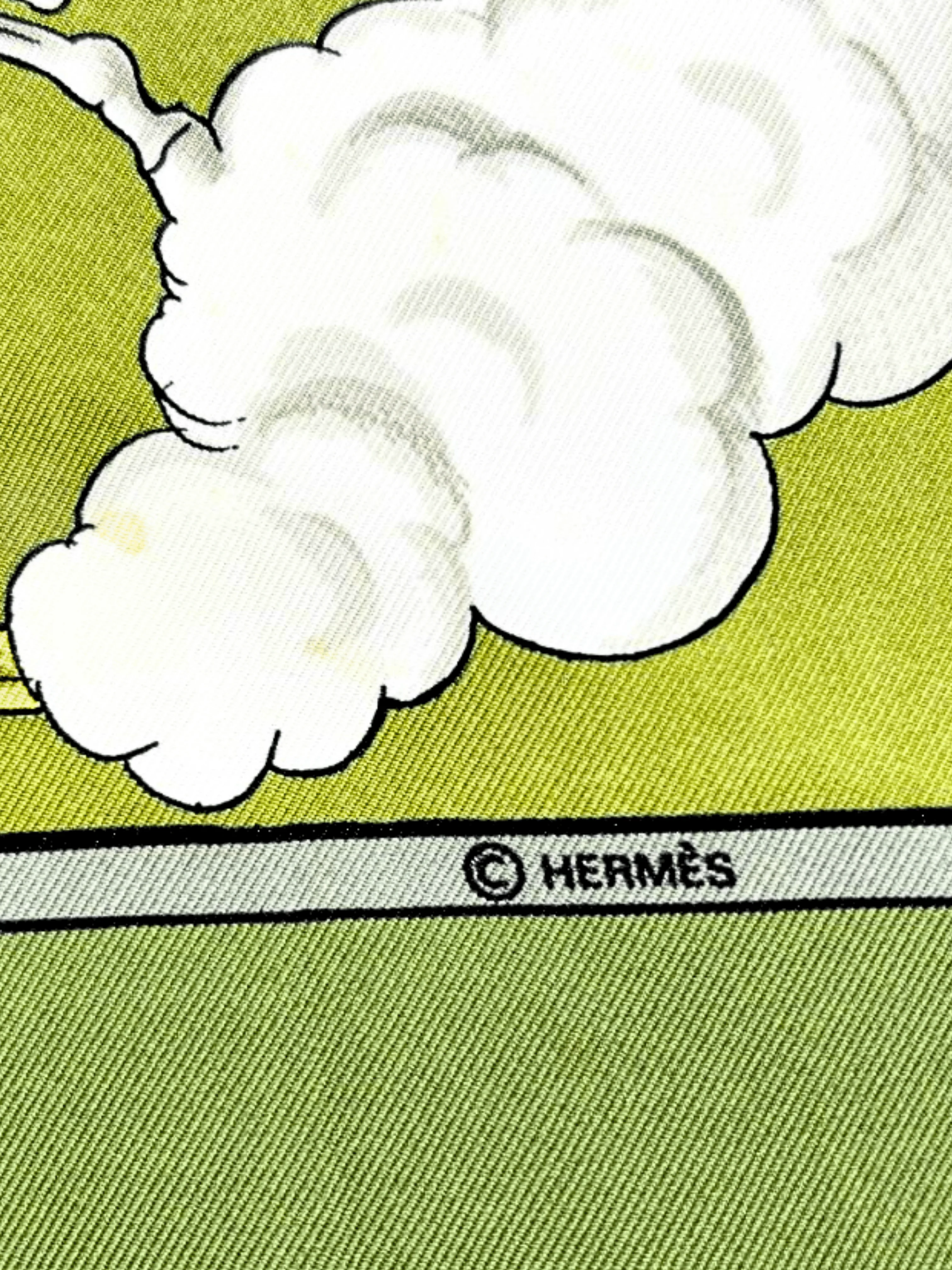 Hermes 2000s Green Cosmos Silk Carré 90 Scarf - Image 6