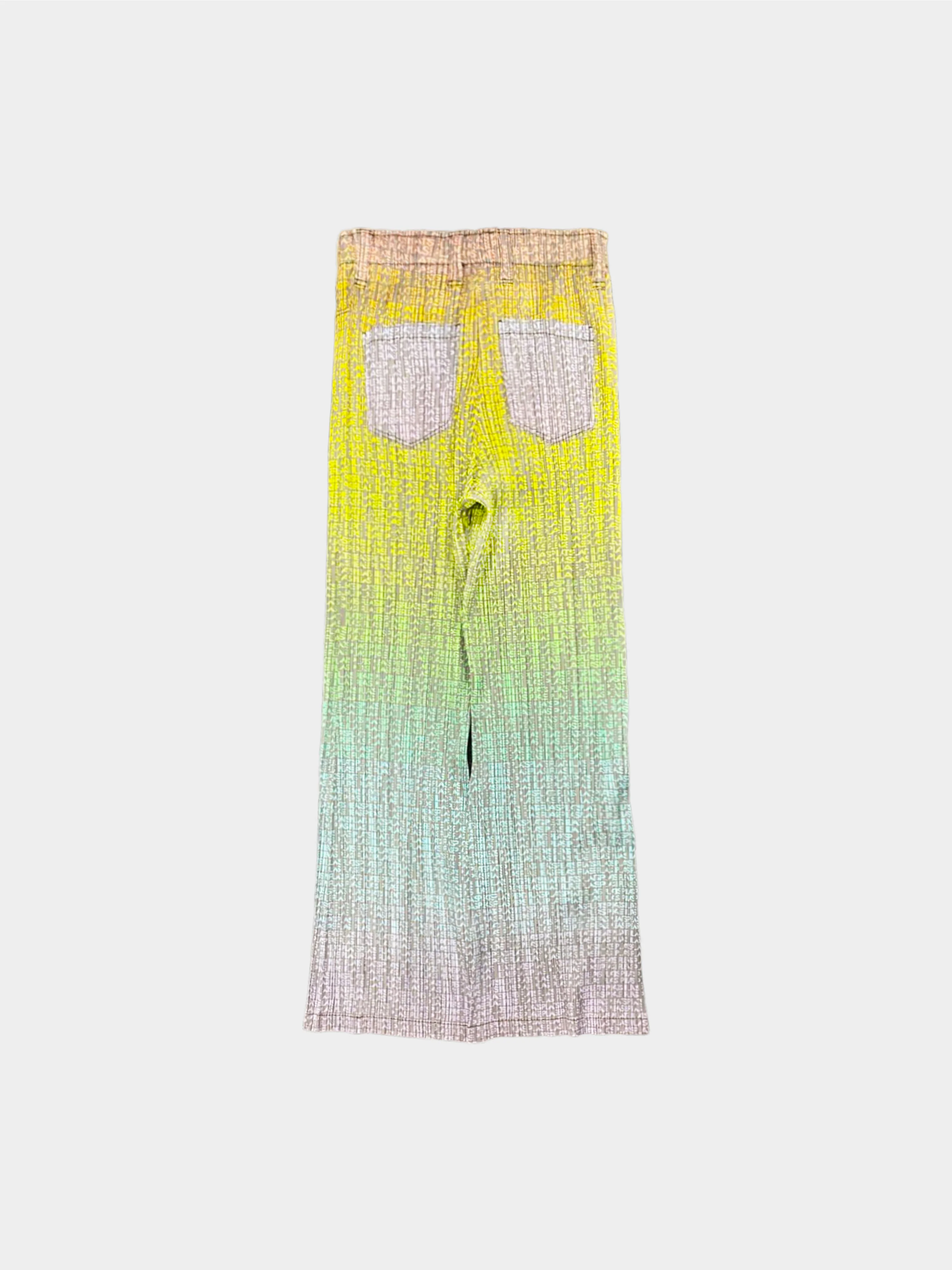 Issey Miyake 2006 Rare Pleats Please Gradient All-over Logo Print Wide Pants - Image 2