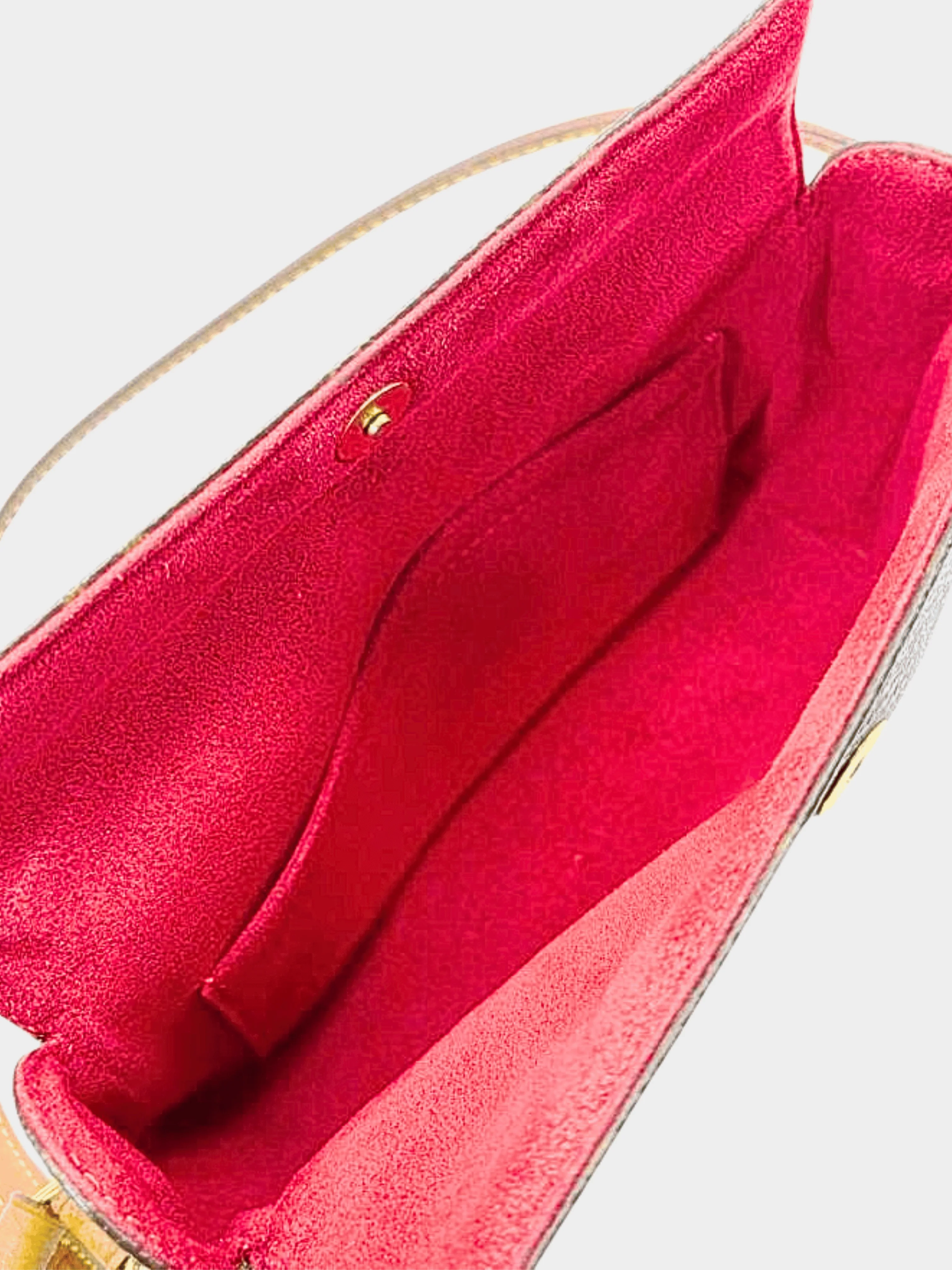 Louis Vuitton 2000s Brown Monogram PVC Recital Bag - Image 8