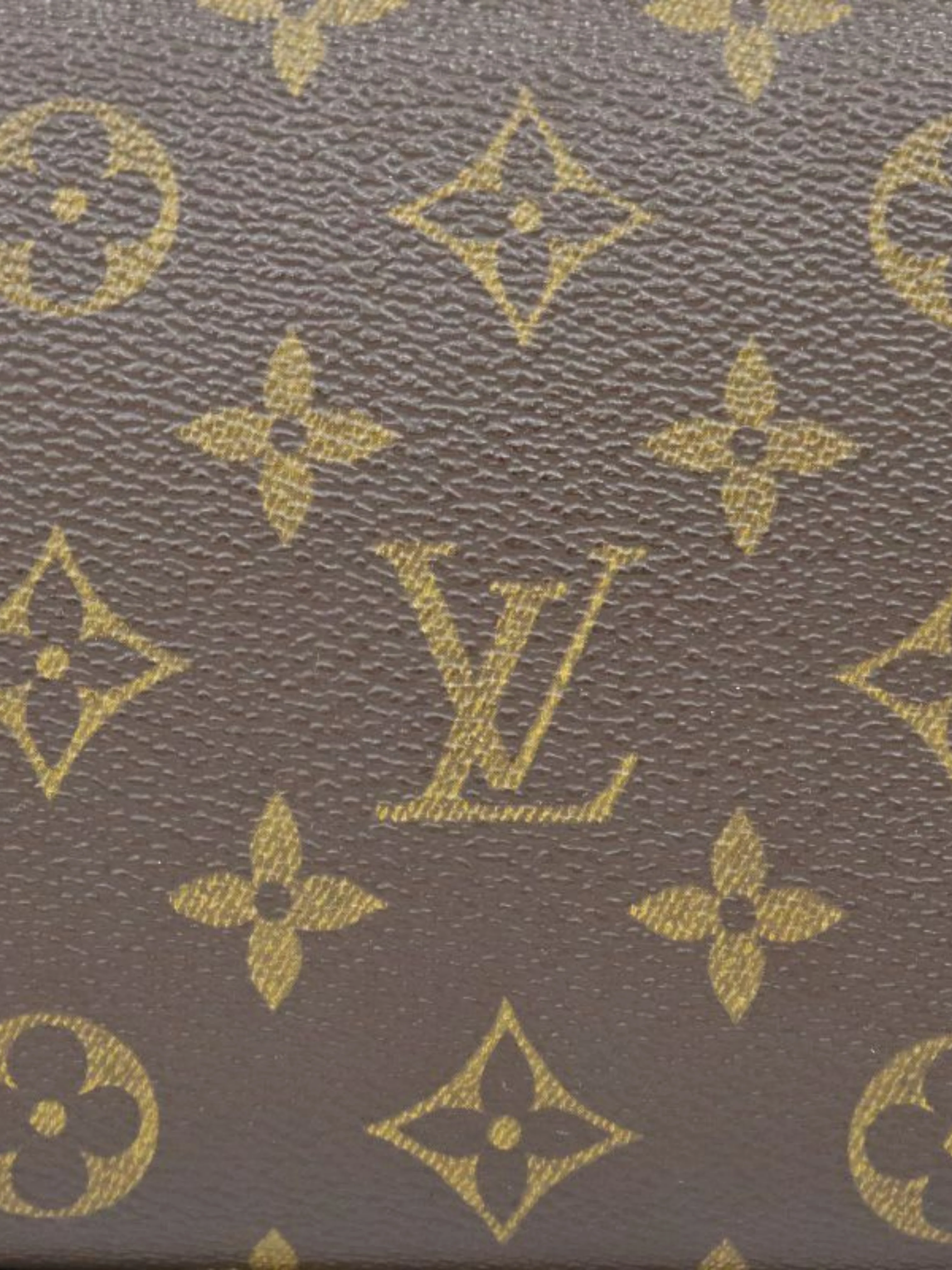 Louis Vuitton 2000s Brown Monogram PVC Recital Bag - Image 7