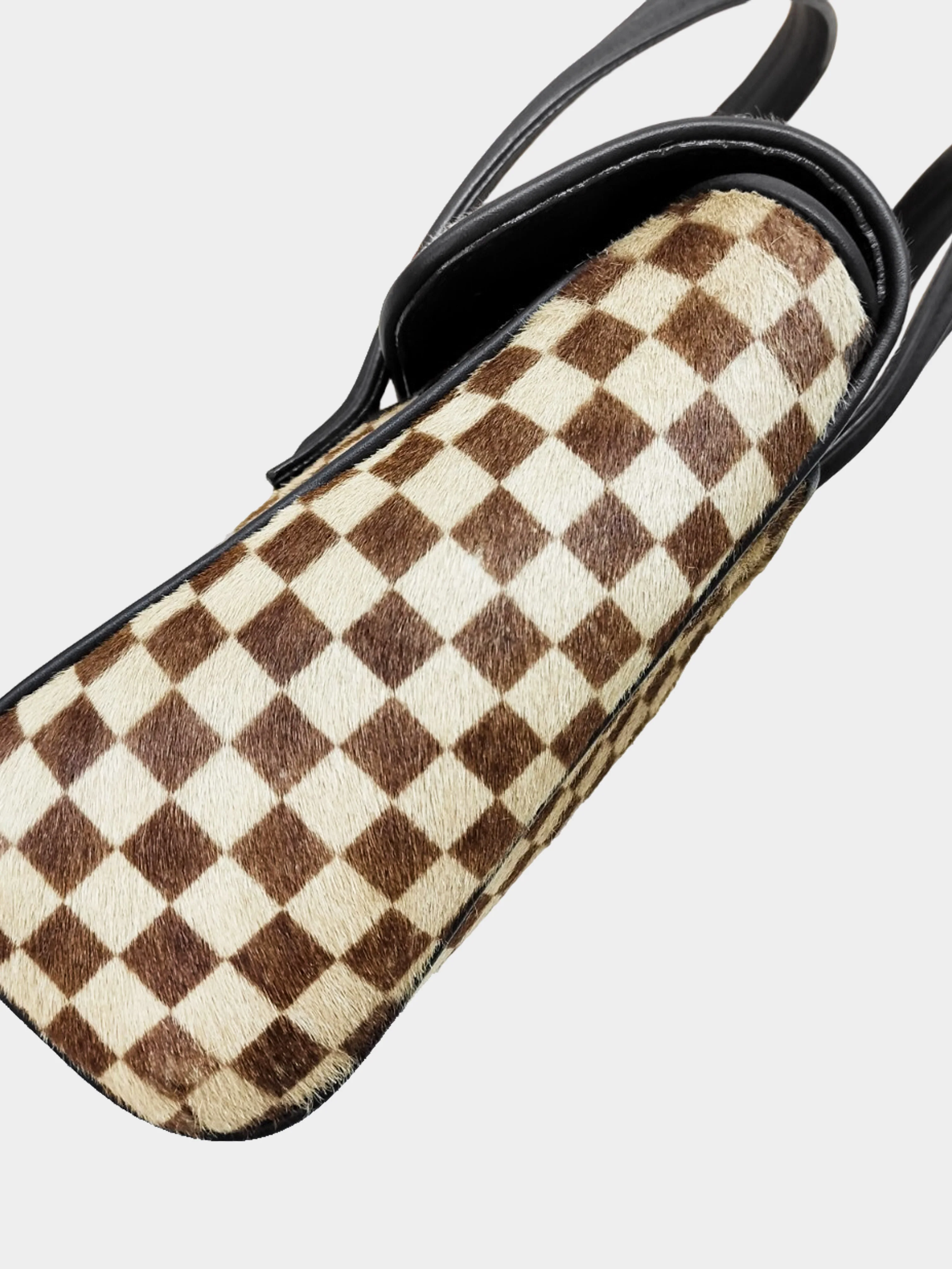 Louis Vuitton 2009 Damier Sauvage Lionne Pony Hair Handbag - Image 4
