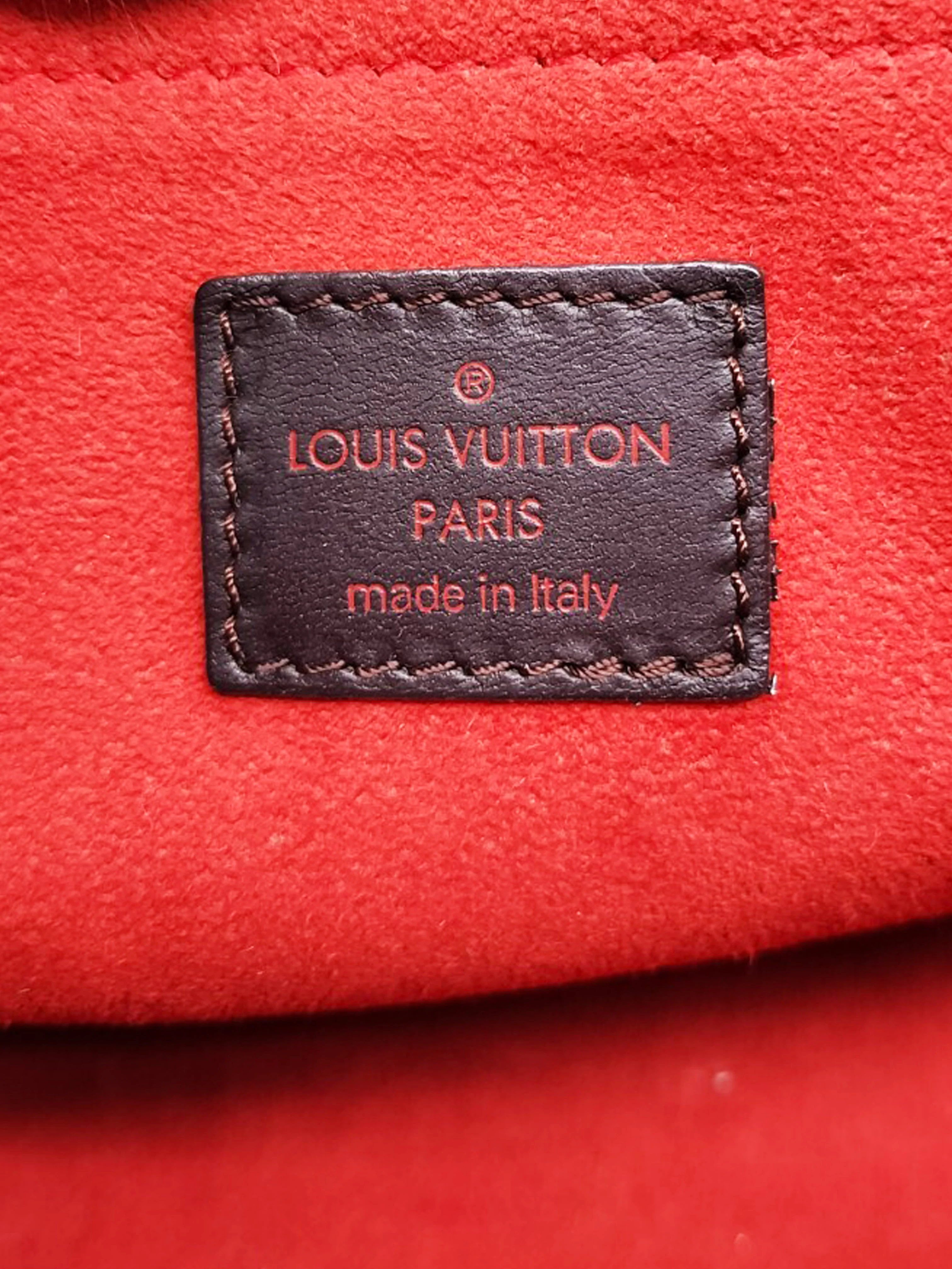 Louis Vuitton 2009 Damier Sauvage Lionne Pony Hair Handbag - Image 5
