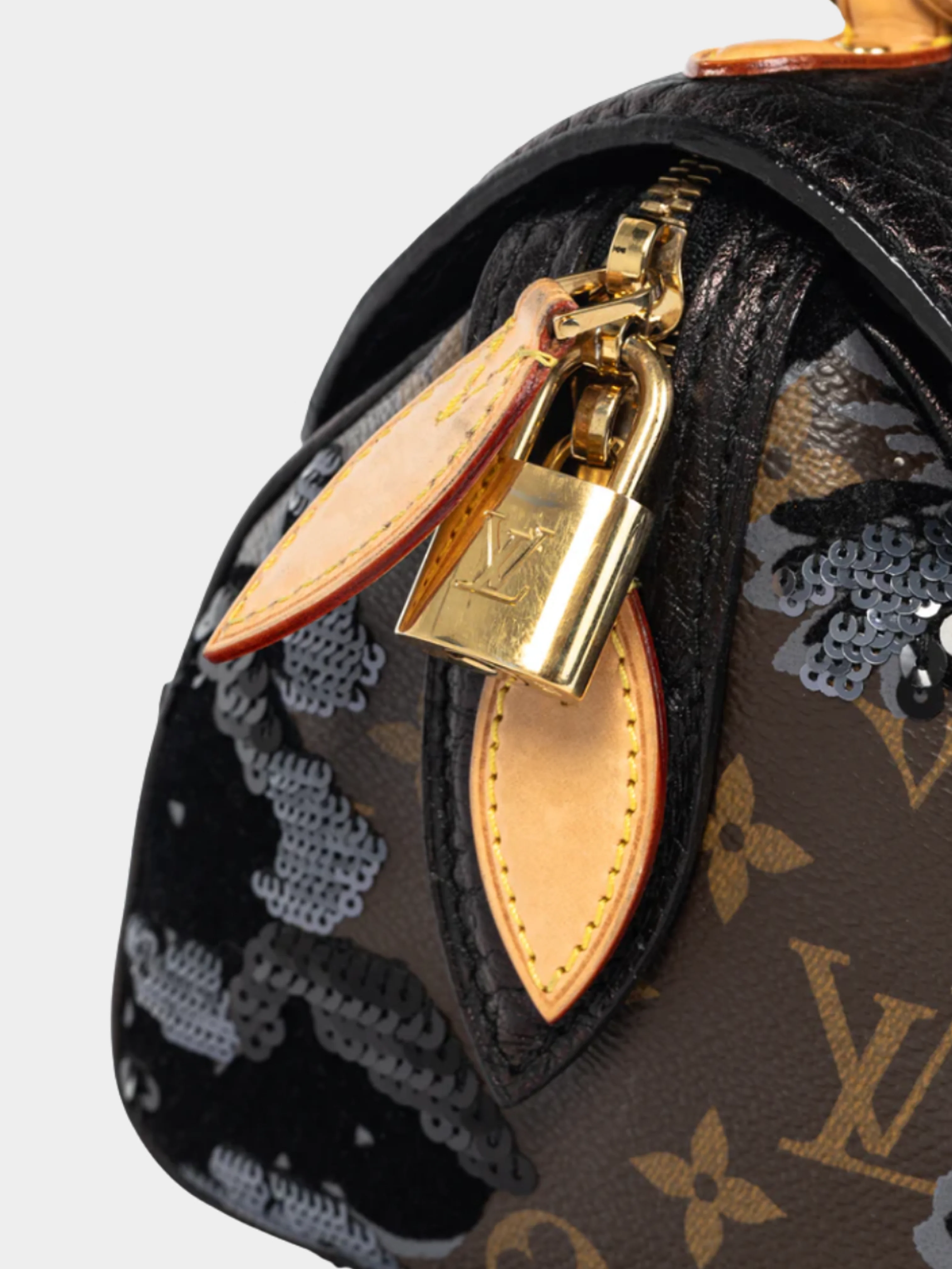 Louis Vuitton AW 2010 Brown Carrousel Monogram Fleur de Jais Sequined Velvet Handbag - Image 5