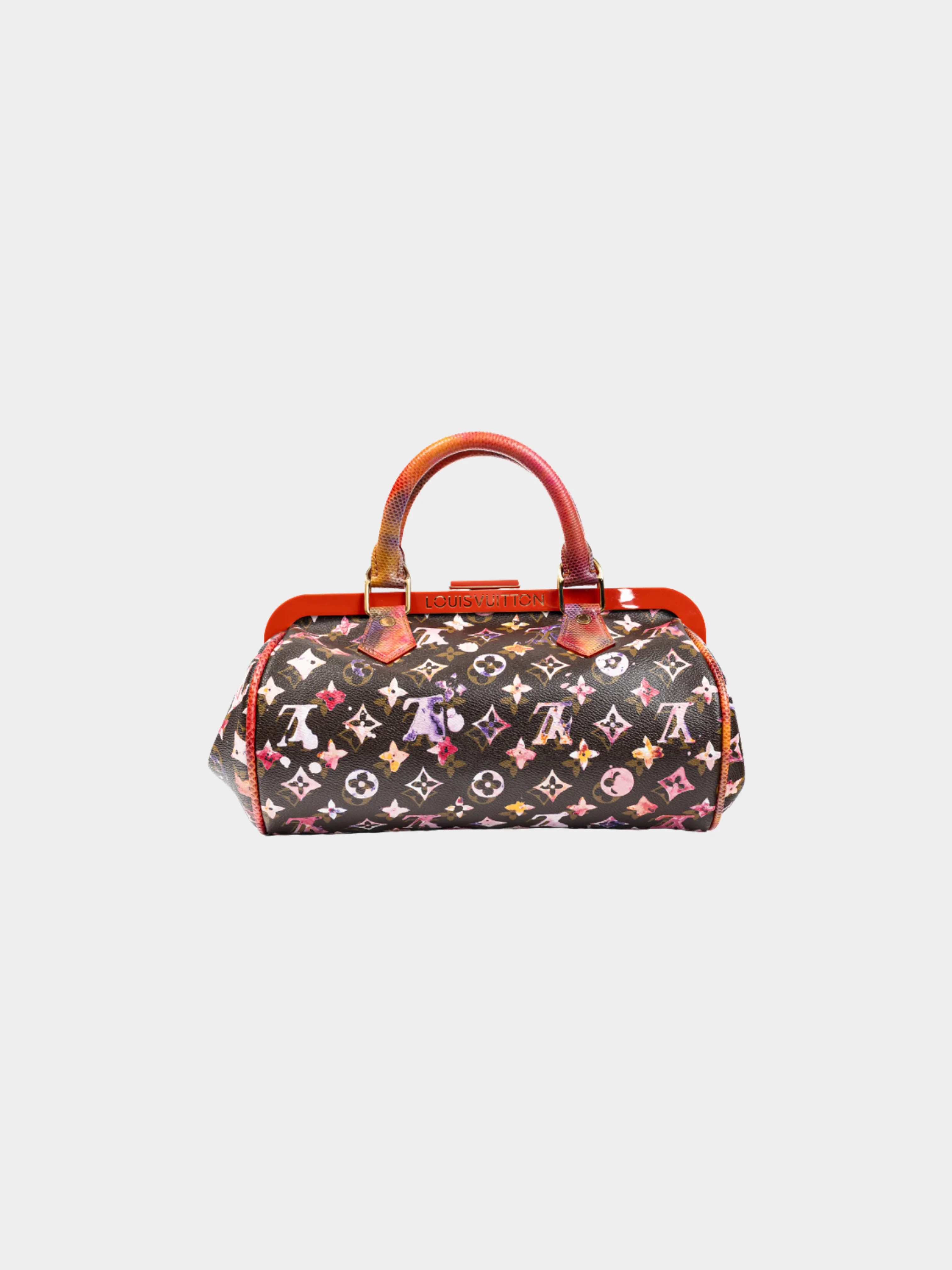 Louis Vuitton x Richard Prince SS 2008 Runway Papillon Frame Watercolor Bag - Image 2