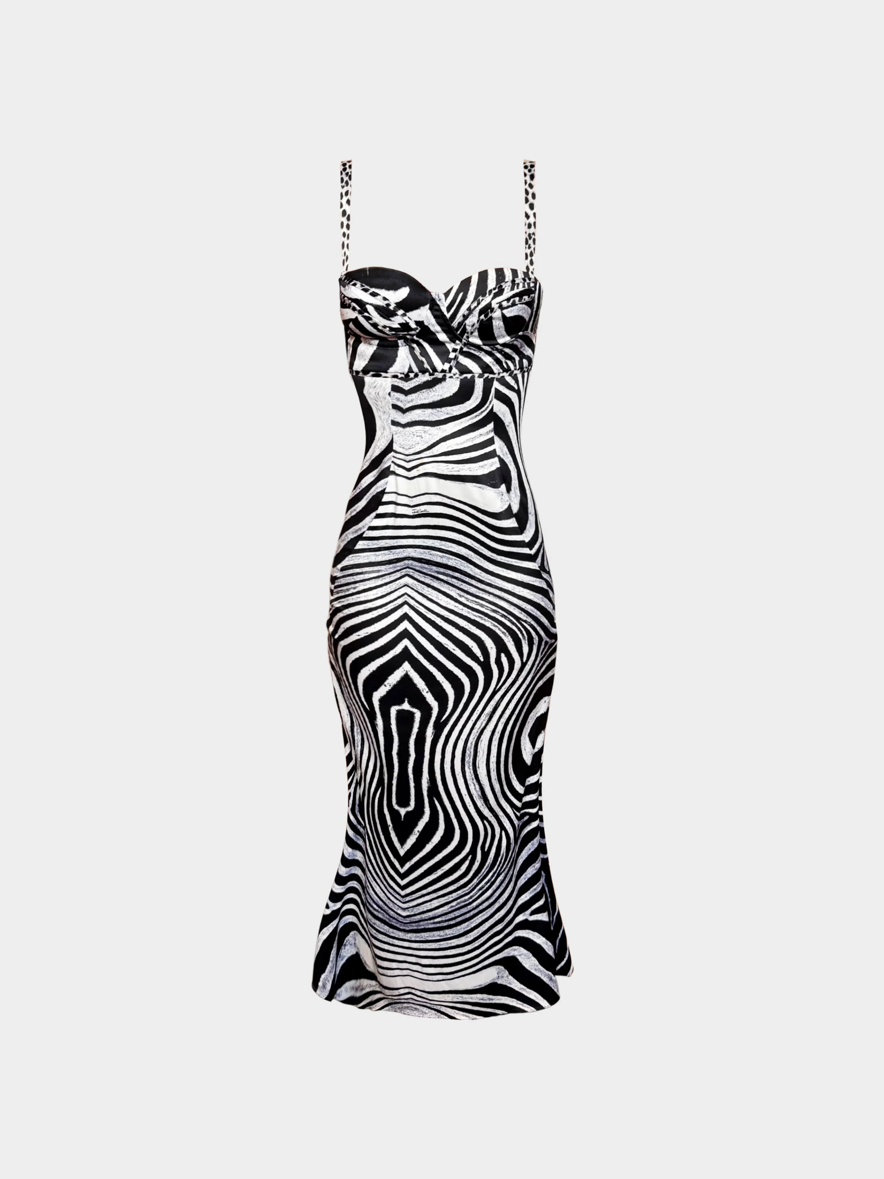 Roberto Cavalli 2000s Black and White Zebra Print Bustier Maxi Dress