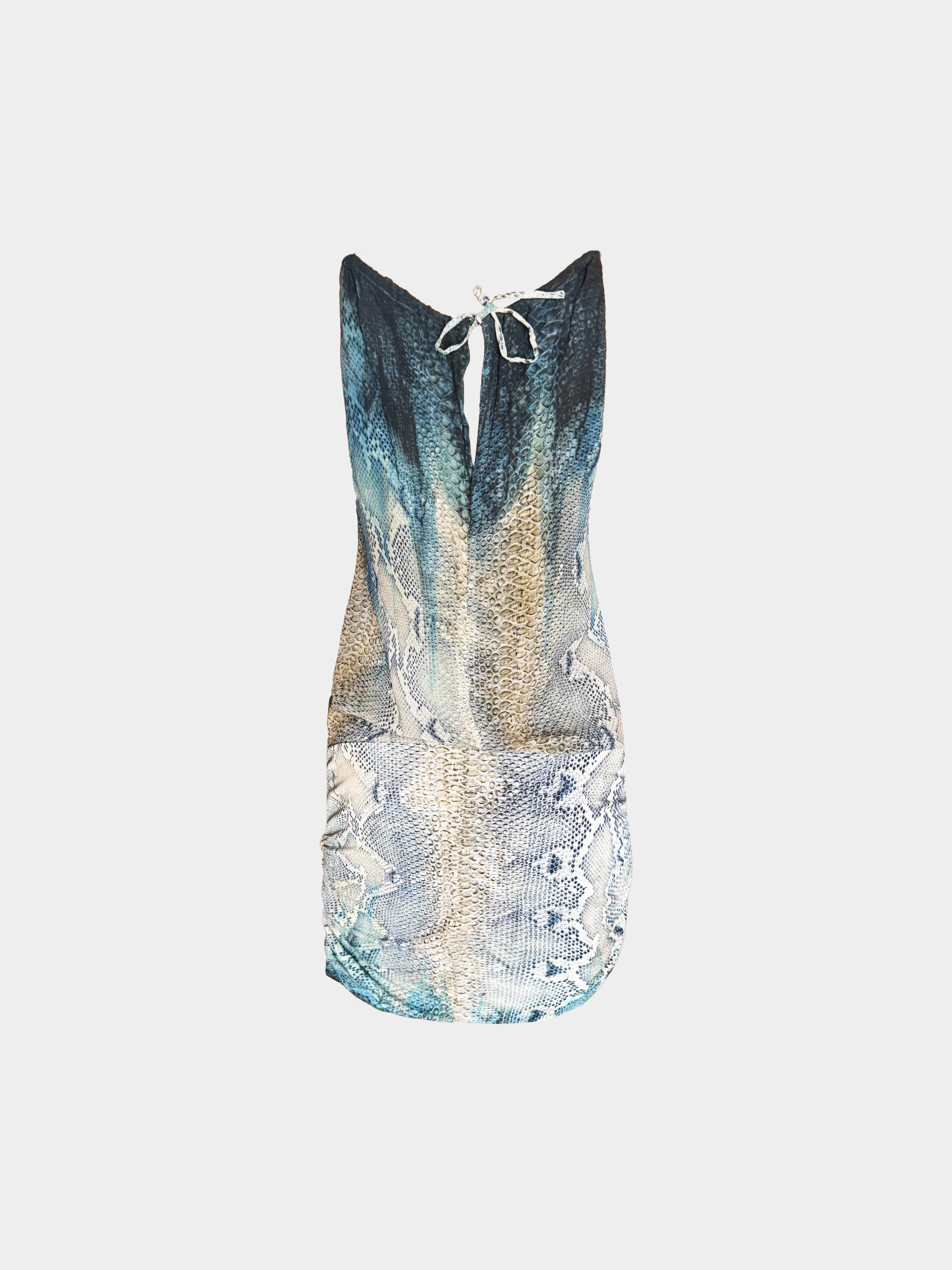 Roberto Cavalli Late 2000s Blue and Beige Snake Skin Print Silk Dress - Image 2