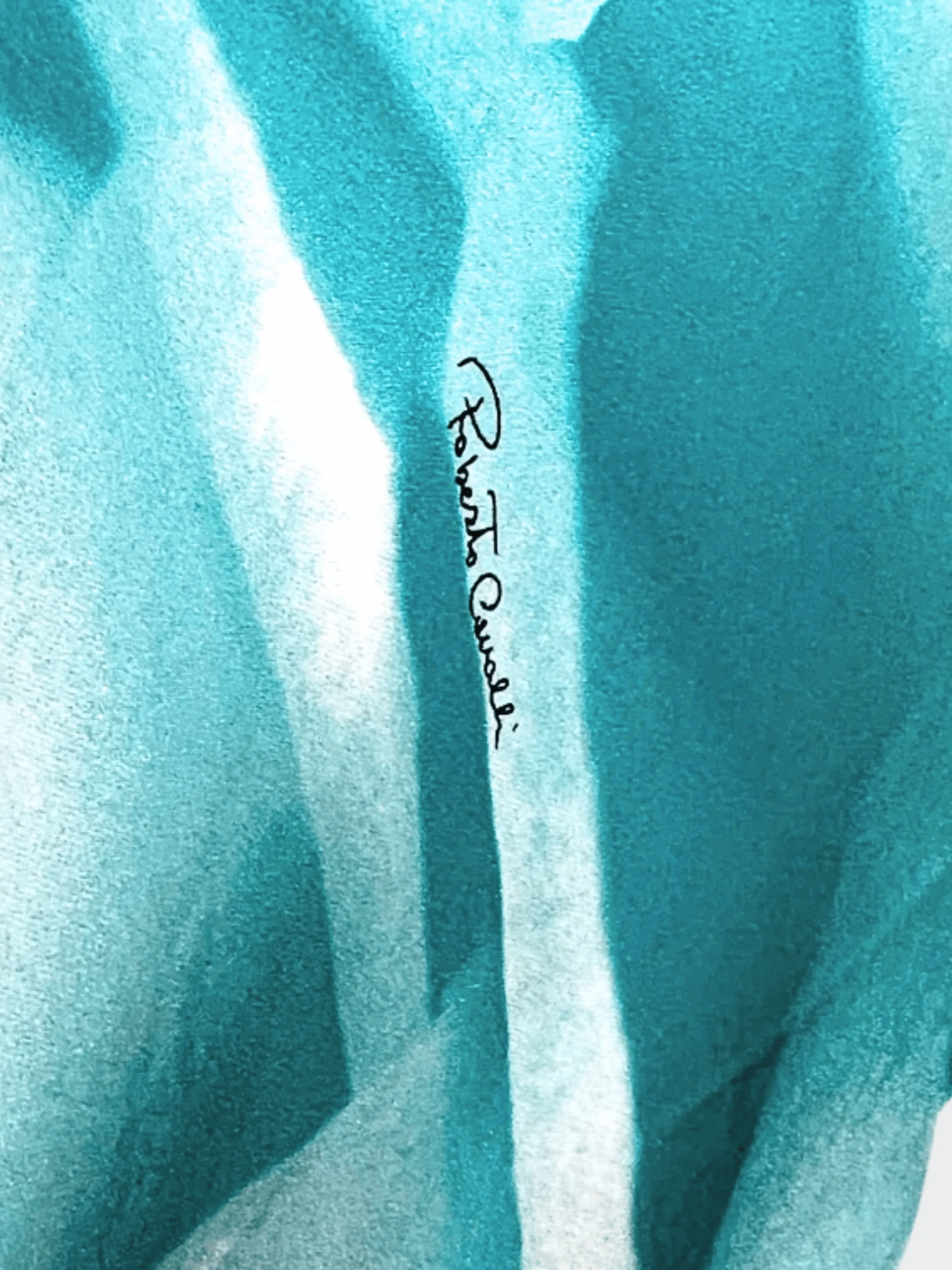 Roberto Cavalli SS 2001 Liz Taylor Eye Print Blue Silk Dress - Image 3