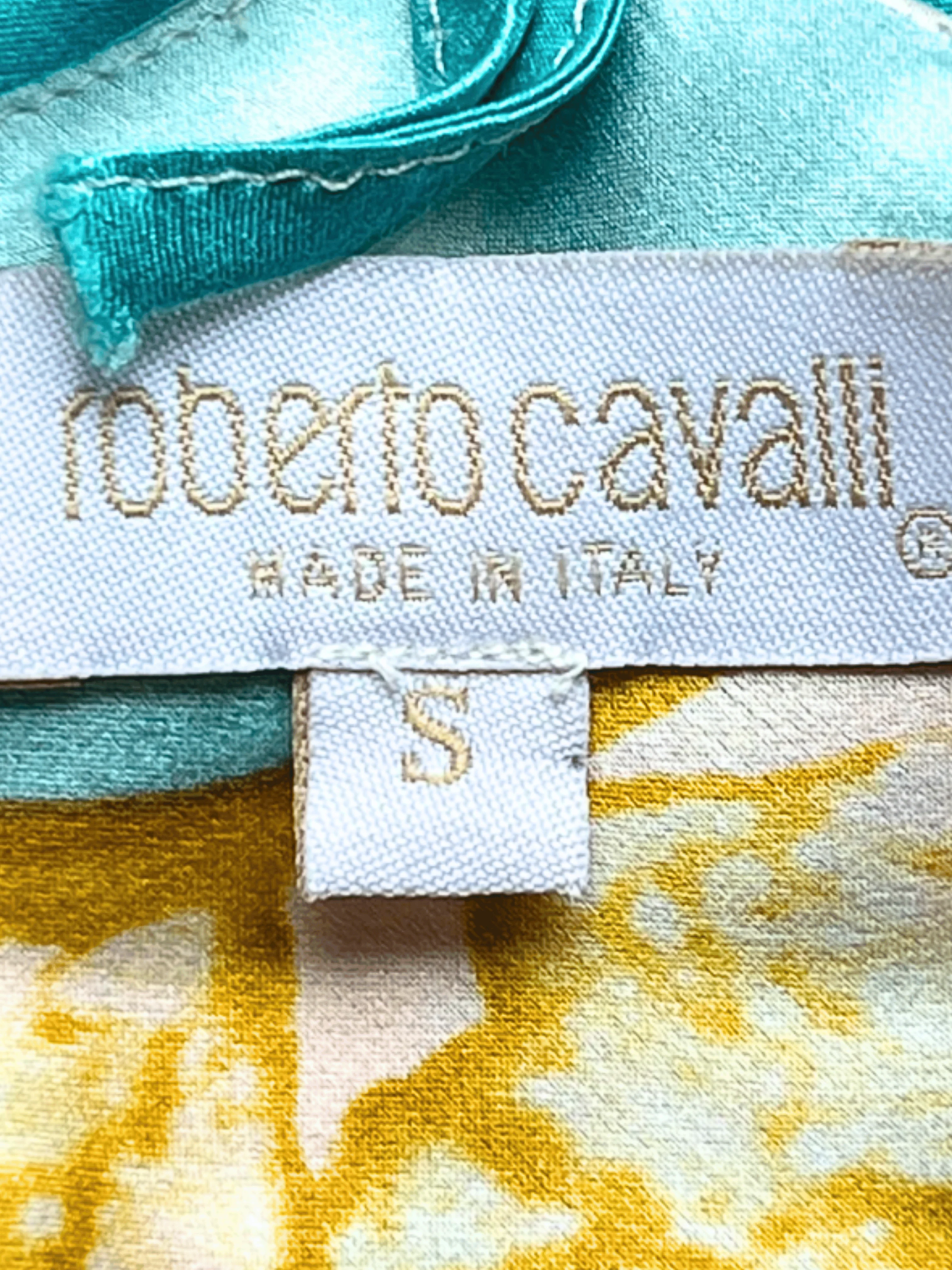 Roberto Cavalli SS 2001 Liz Taylor Eye Print Blue Silk Dress - Image 4